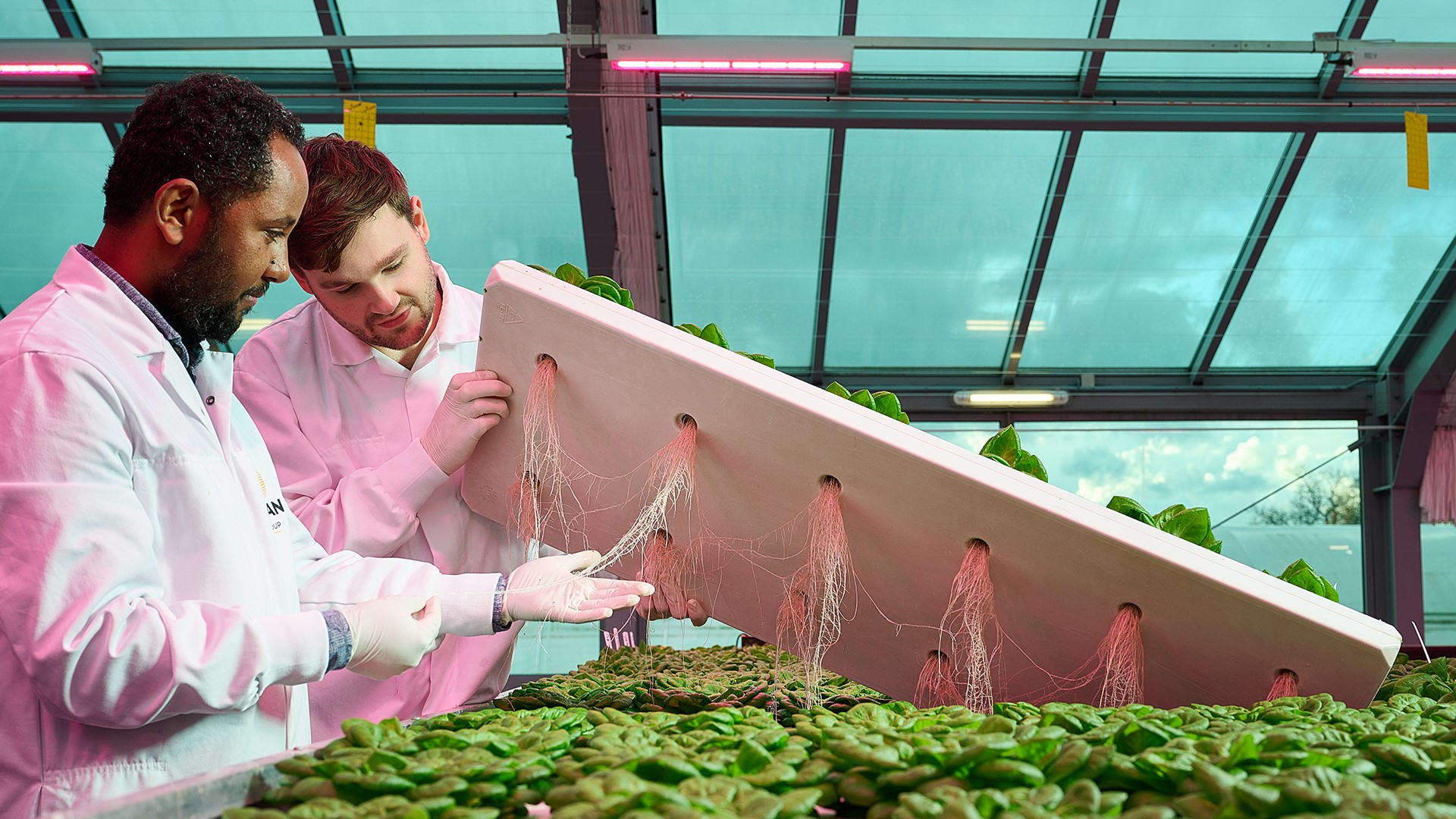 Nygaia greentech|Nygaia greentech